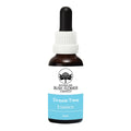 Dream Time Essence 30ml
