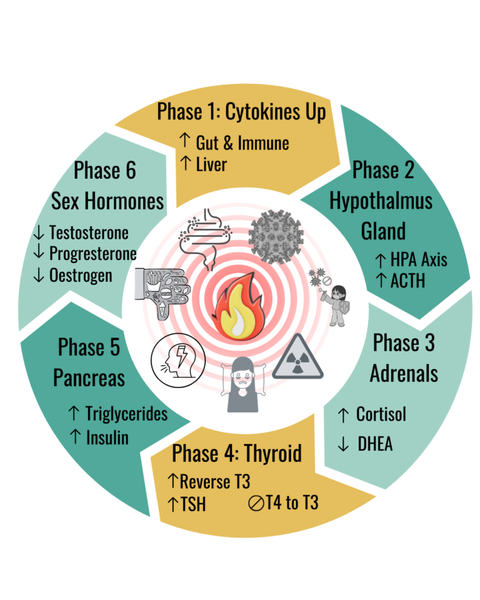 The Cycle of Metabolic Inflammation
