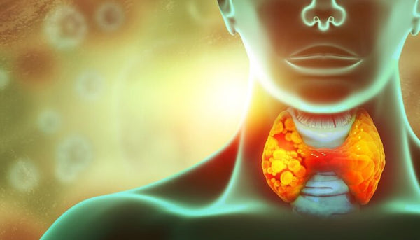 How to Look Beyond Thyroid Medication, Past Thyroid Treatment, and Normal Test Results